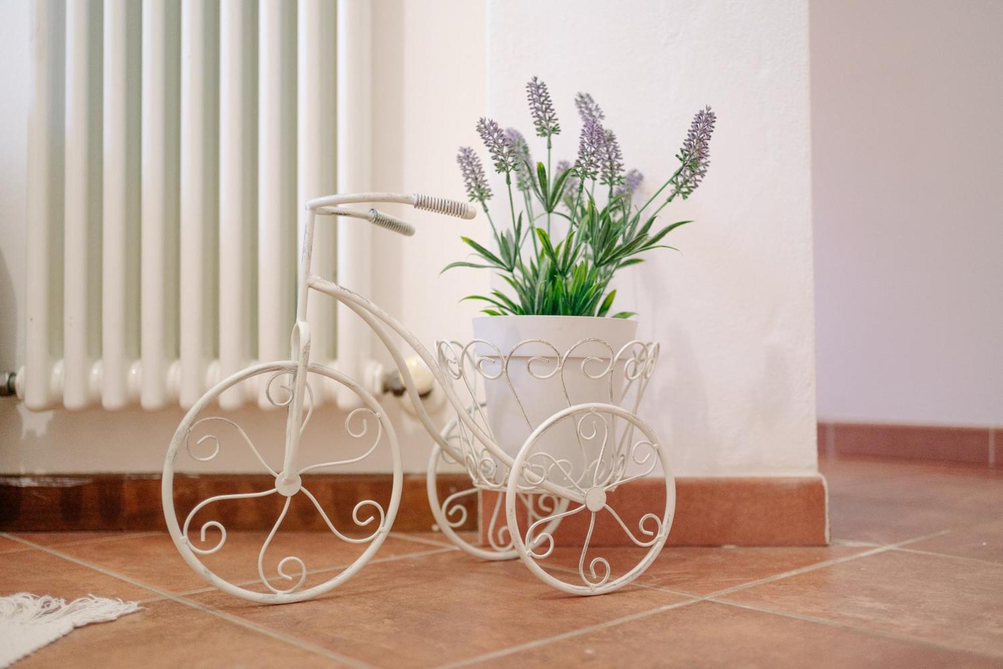 Ema'S Guest House Lucca Exterior photo
